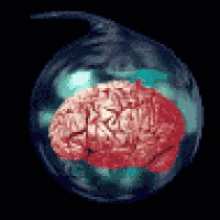 braindrop